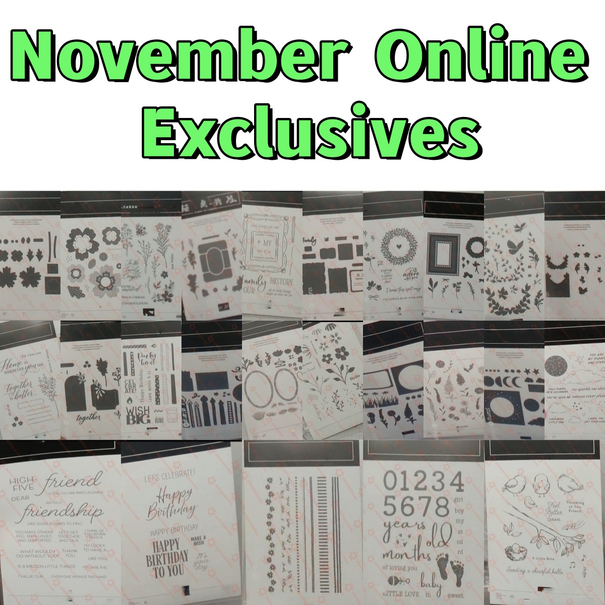November Online Birthday Sprin - Wedding Supply Online review and price